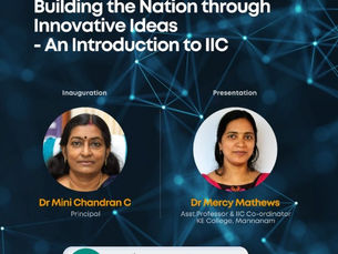 An Introduction to IIC