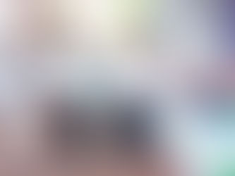 ഇ വിഎം ഡെമോൺസ്ട്രേഷൻ