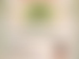 Future Fusion: Sustainability Across Disciplines Languages Invited Talk By Prof. Thomas Scaria