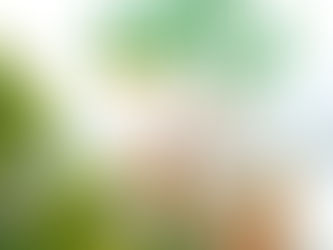 ലോക മാതൃഭാഷാദിനം