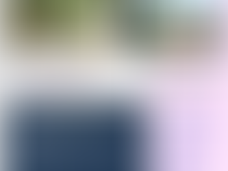 POST GRADUATE DEPARTMENT OF CHEMISTRY & POLYMER CHEMISTRY -INTERNSHIP