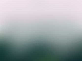 ENGLISH ESSAY WRITING COMPETITION