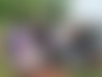 Officials from Government of India and Wetlands International CEO Mr Han de Groot, visited our lake for the ecosystem assessment