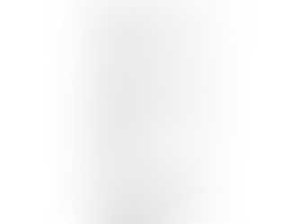 GUEST LECTURERS RANK LIST