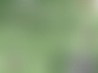 POST GRADUATE DEPARTMENT OF ECONOMICS : INTERNSHIP ON DATA ANALYTICS AND REPORT WRITING