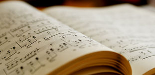 小學中學幼兒到校課程