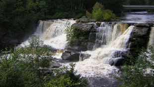 FROM THE TROUTBUM ARCHIVES