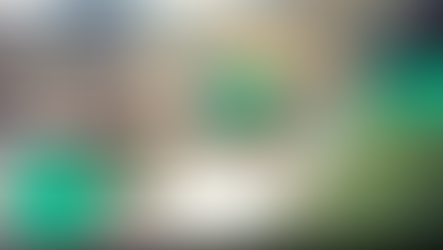 TROUT LIES, continued