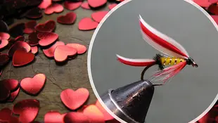 STREAM SUMMARY FOR MID ATLANTIC SPRINNG CREEKS