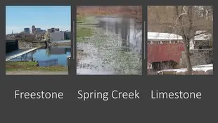 Freestone Streams-Spring Creeks-Limestoners