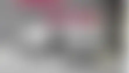 DECEMBER SUMMARY FOR MID ATLANTIC SPRING CREEKS