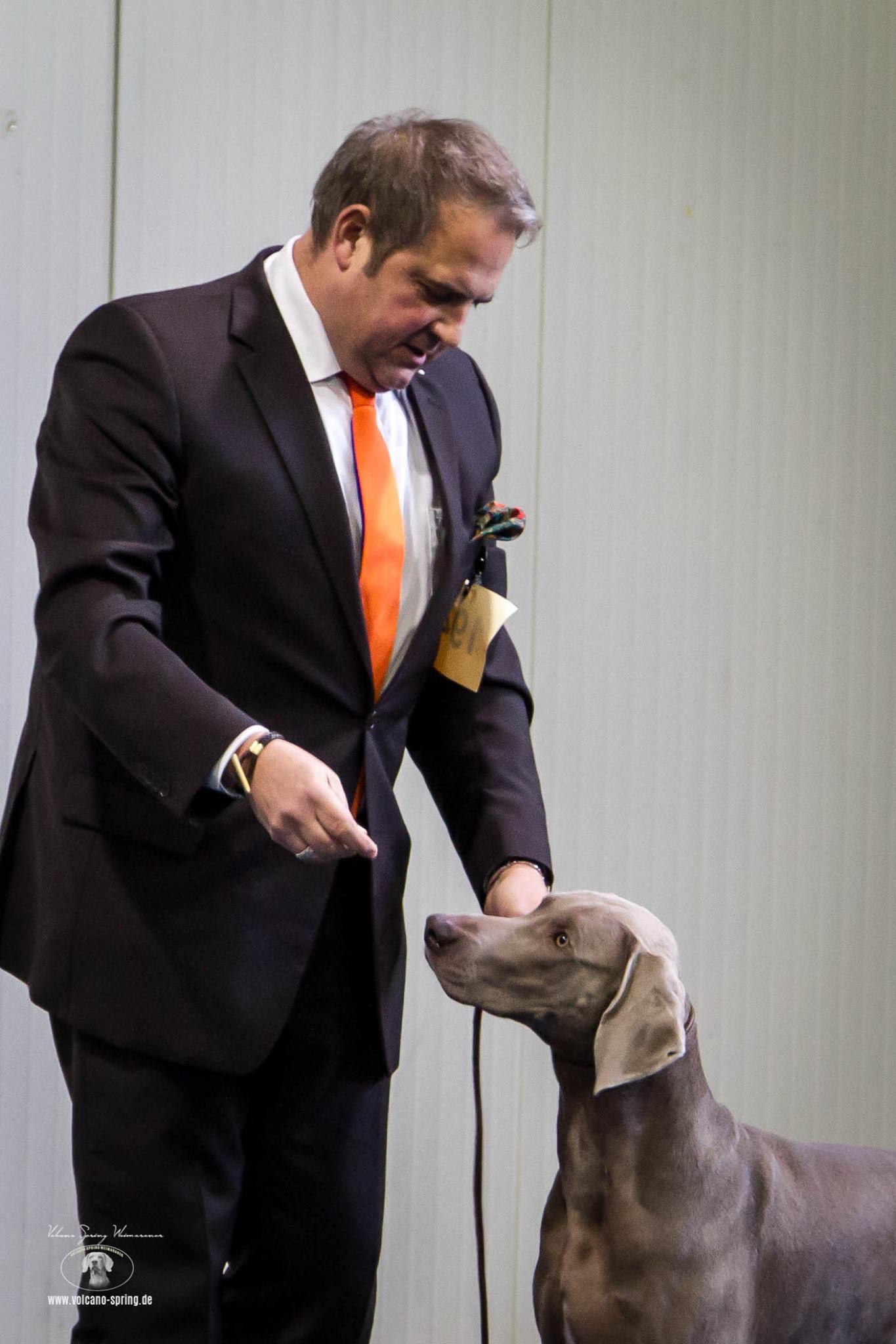 Hundefreunde kennenlernen