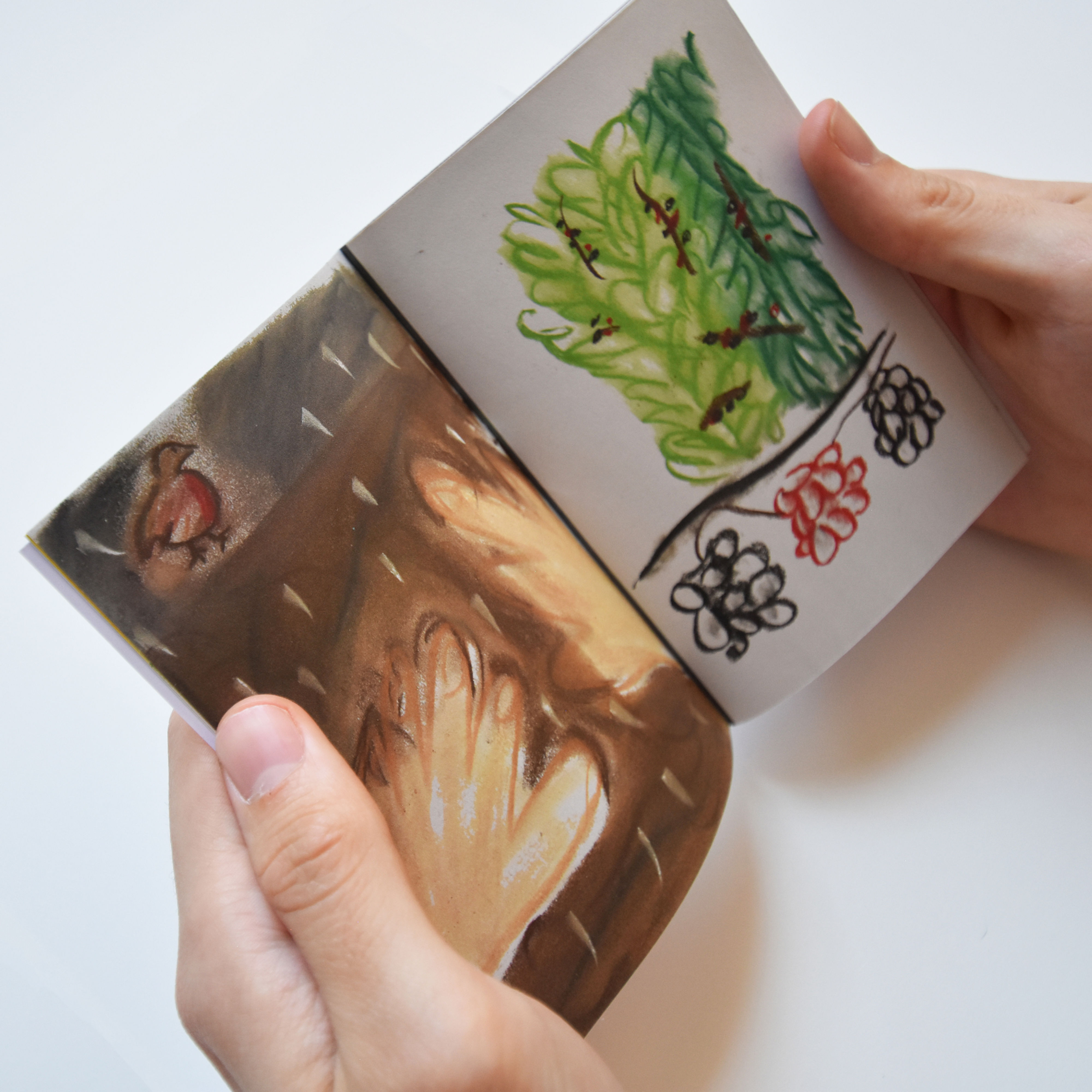 Plafonds | Sarah Blumenfeld | Édition | ES1003