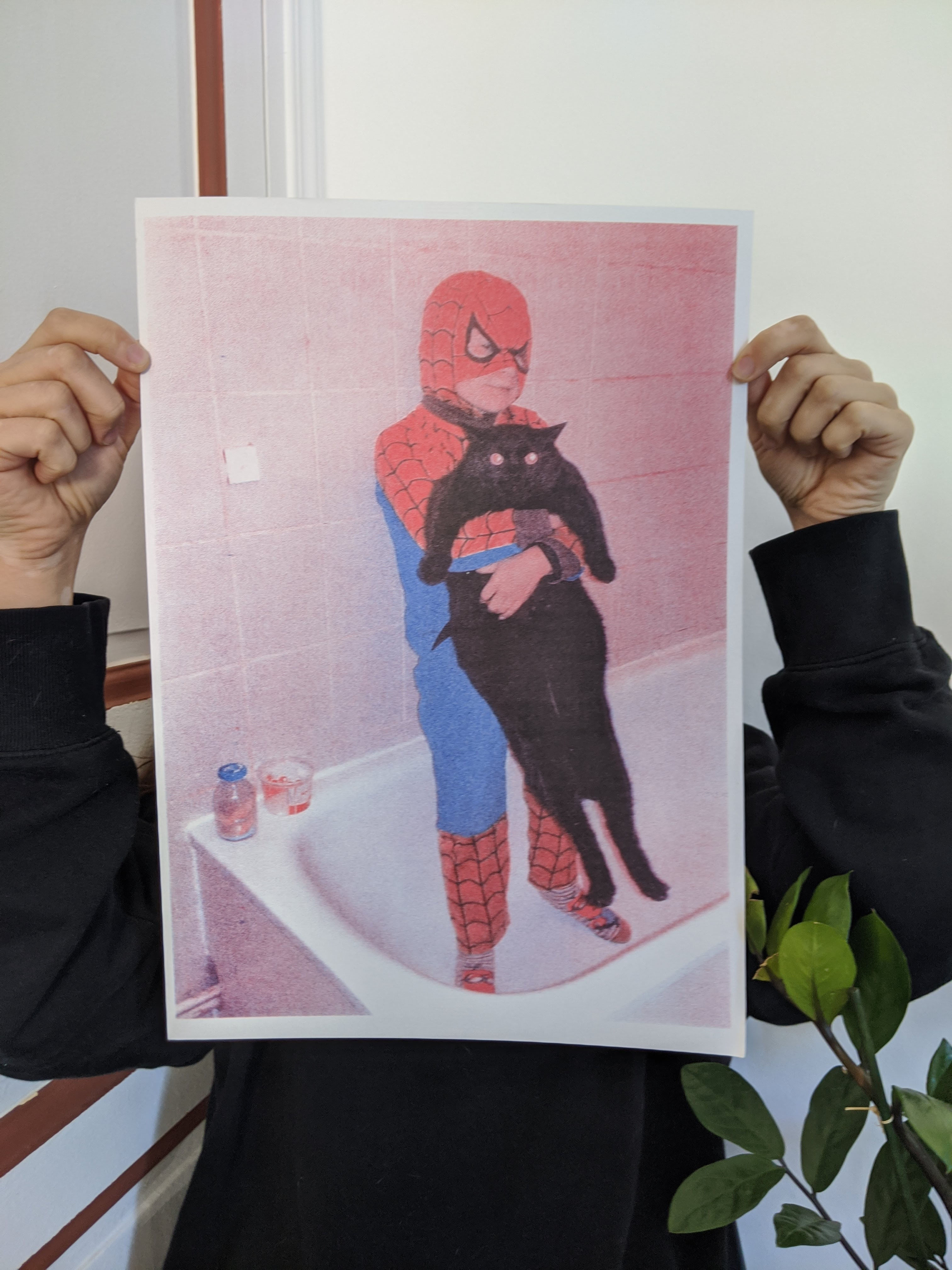 Spiderman & Gilbert | Juliette Benazet | Affiche Riso A3 | ES1004