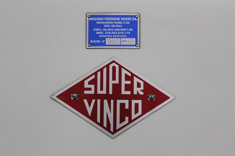 Miniatura: CORTE VINCO FEVA 70 X 100 - 2010