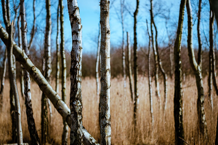 waldemarvisuals_website-8684.jpg