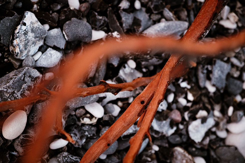 26_nature_structures-7447_edited.jpg