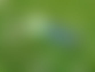 De l'importance du contact avec la nature..