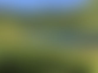 La réflexologie: une méthode holistique