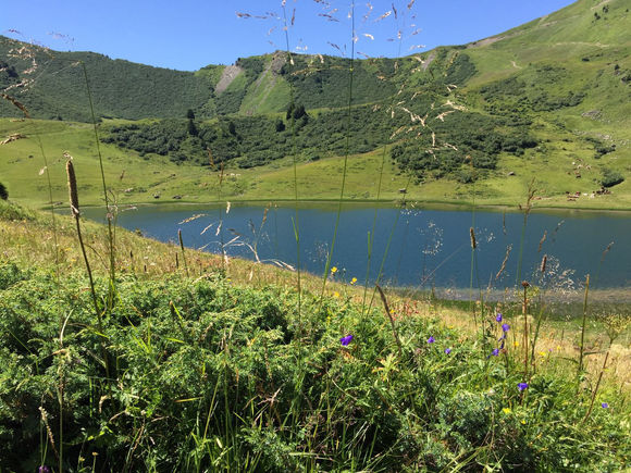 La réflexologie: une méthode holistique