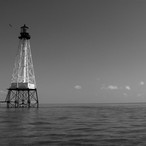 Alligator Reef