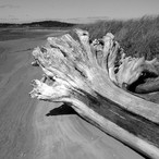 Drift Log
