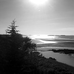 Pine Point