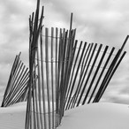 Dune Sentinel