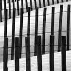 Dune Fence Soldiers