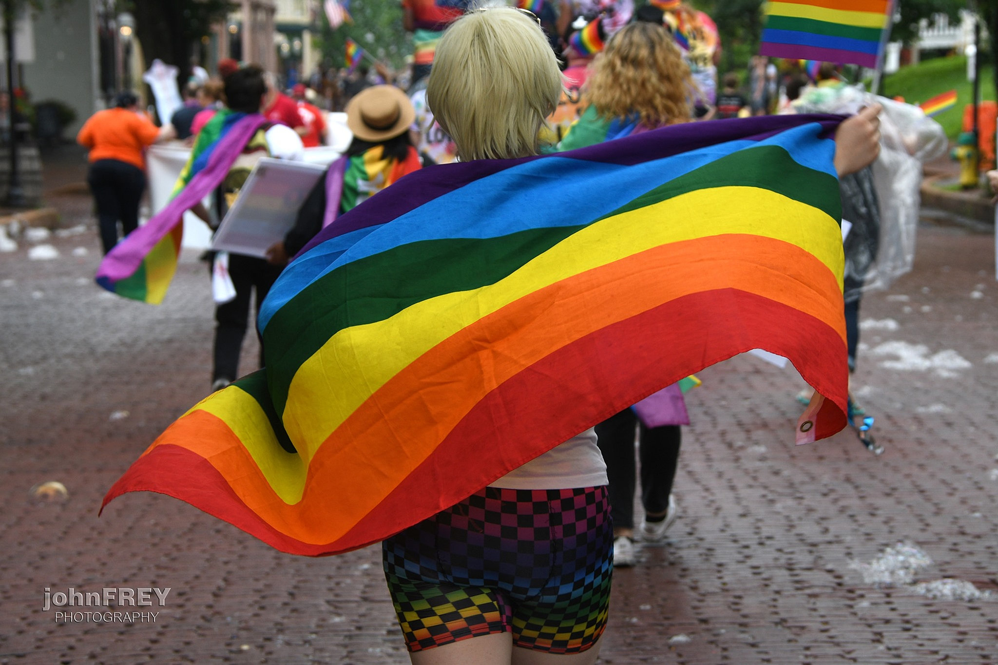 Pride Festival Pride St. Charles United States