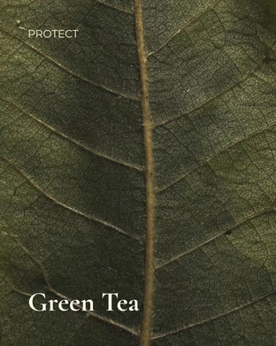 antioxidant active in ENARA face cream