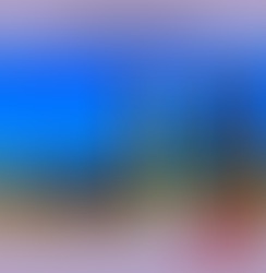 Ganador de la 11ª ENCUESTA y Undécimo Semifinalista