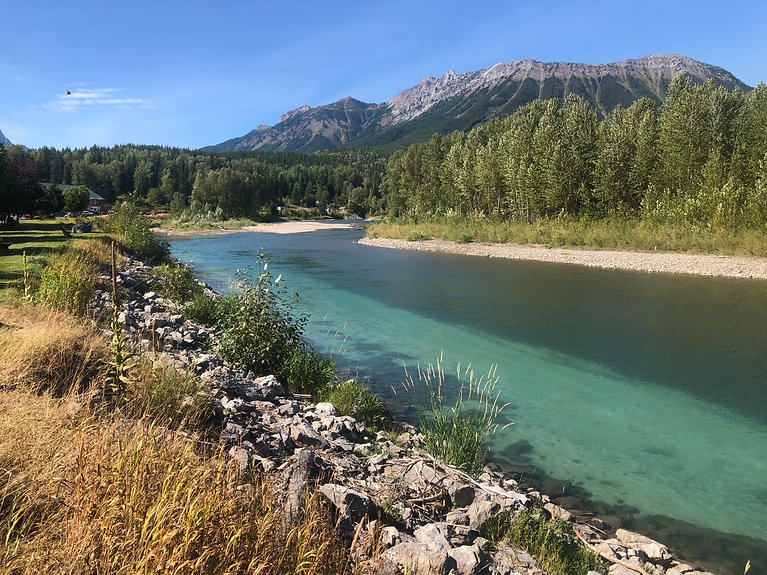 Fernie Bc