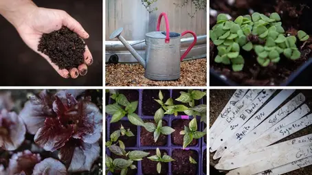 Planning a garden? Here's a step-by-step guide to start off on the right foot