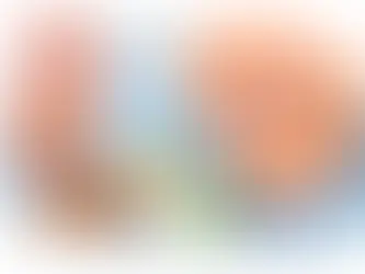 מה אסור לאכול עם גשר? מדריך לשמירה על הטיפול