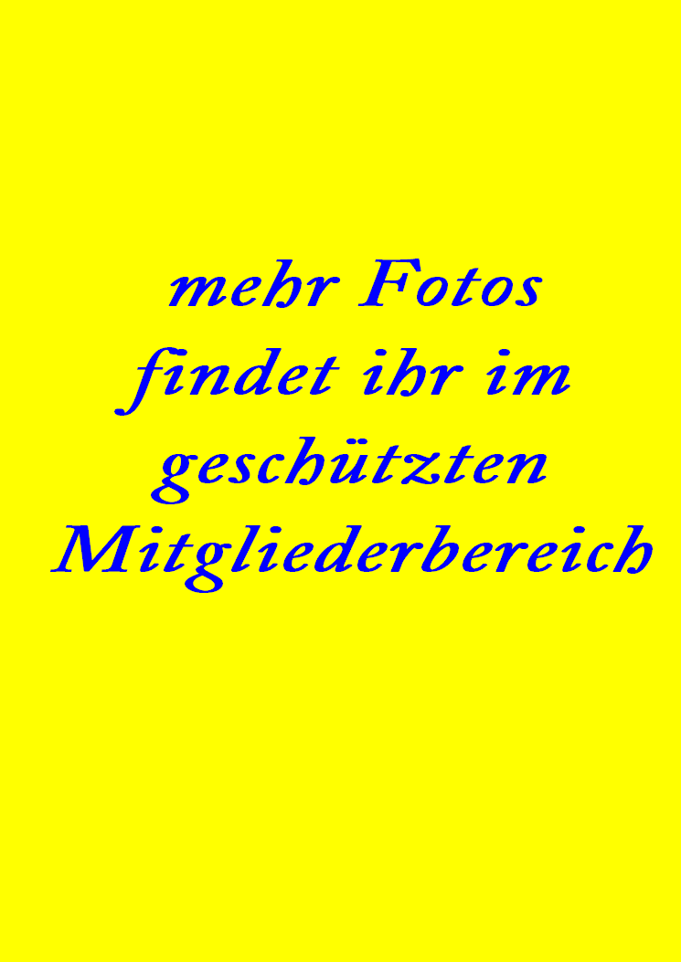 Zeichnung-4