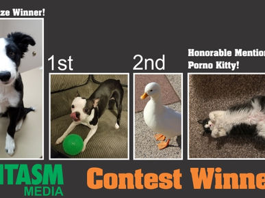 Winners Announced!