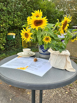 Sonnenblumen