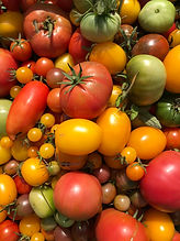 Seltene Tomaten-Sorten