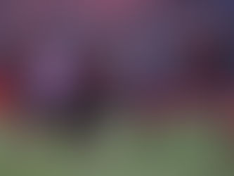 Borba za opstanak kreće iz Inđije