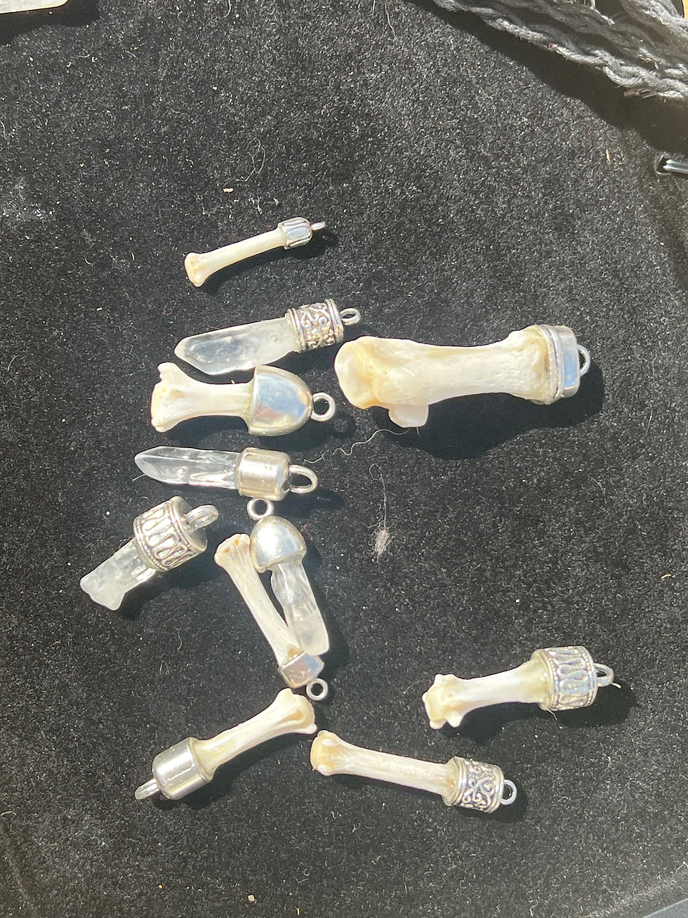 Thumbnail: Coyote claw and bone necklaces 