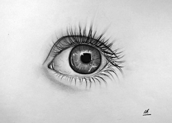 The Eye