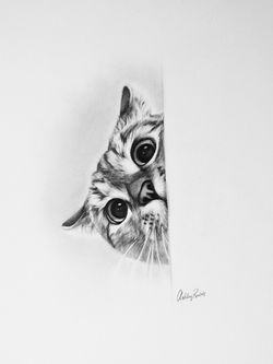 Nala Cat