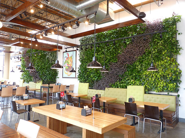 outdoor or indoor live vertical garden wall installation and design services Cedar Rapids, IA Iowa City, IA Waterloo, IA