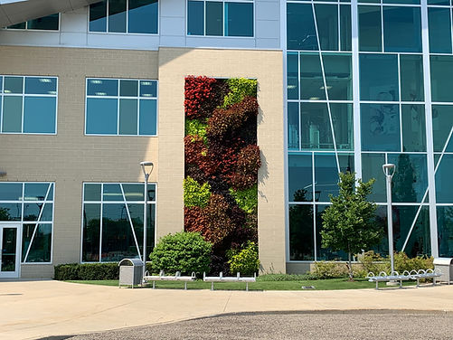 outdoor or indoor live vertical garden wall installation and design services Cedar Rapids, IA Iowa City, IA Waterloo, IA