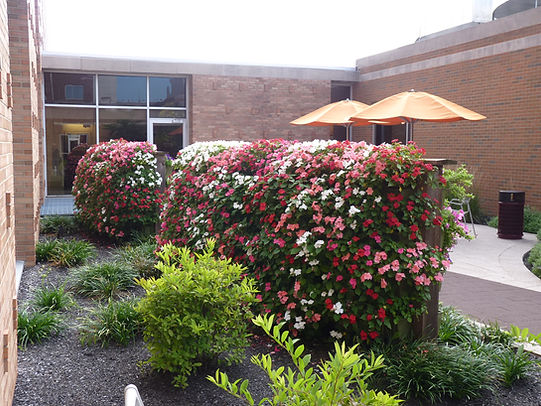 outdoor or indoor live vertical garden wall installation and design services Cedar Rapids, IA Iowa City, IA Waterloo, IA