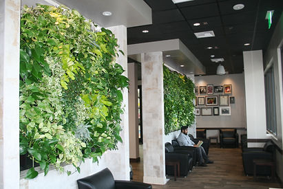 outdoor or indoor live vertical garden wall installation and design services Cedar Rapids, IA Iowa City, IA Waterloo, IA