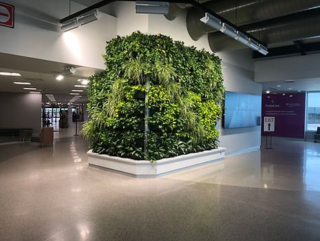 outdoor or indoor live vertical garden wall installation and design services Cedar Rapids, IA Iowa City, IA Waterloo, IA