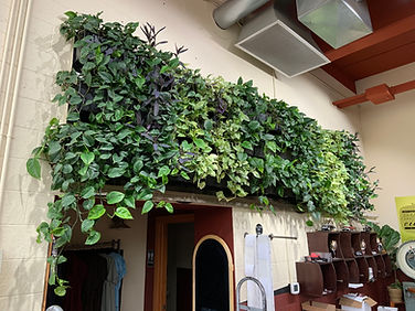 outdoor or indoor live vertical garden wall installation and design services Cedar Rapids, IA Iowa City, IA Waterloo, IA