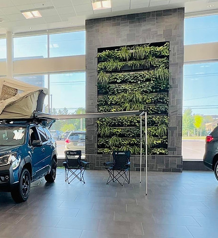 outdoor or indoor live vertical garden wall installation and design services Cedar Rapids, IA Iowa City, IA Waterloo, IA